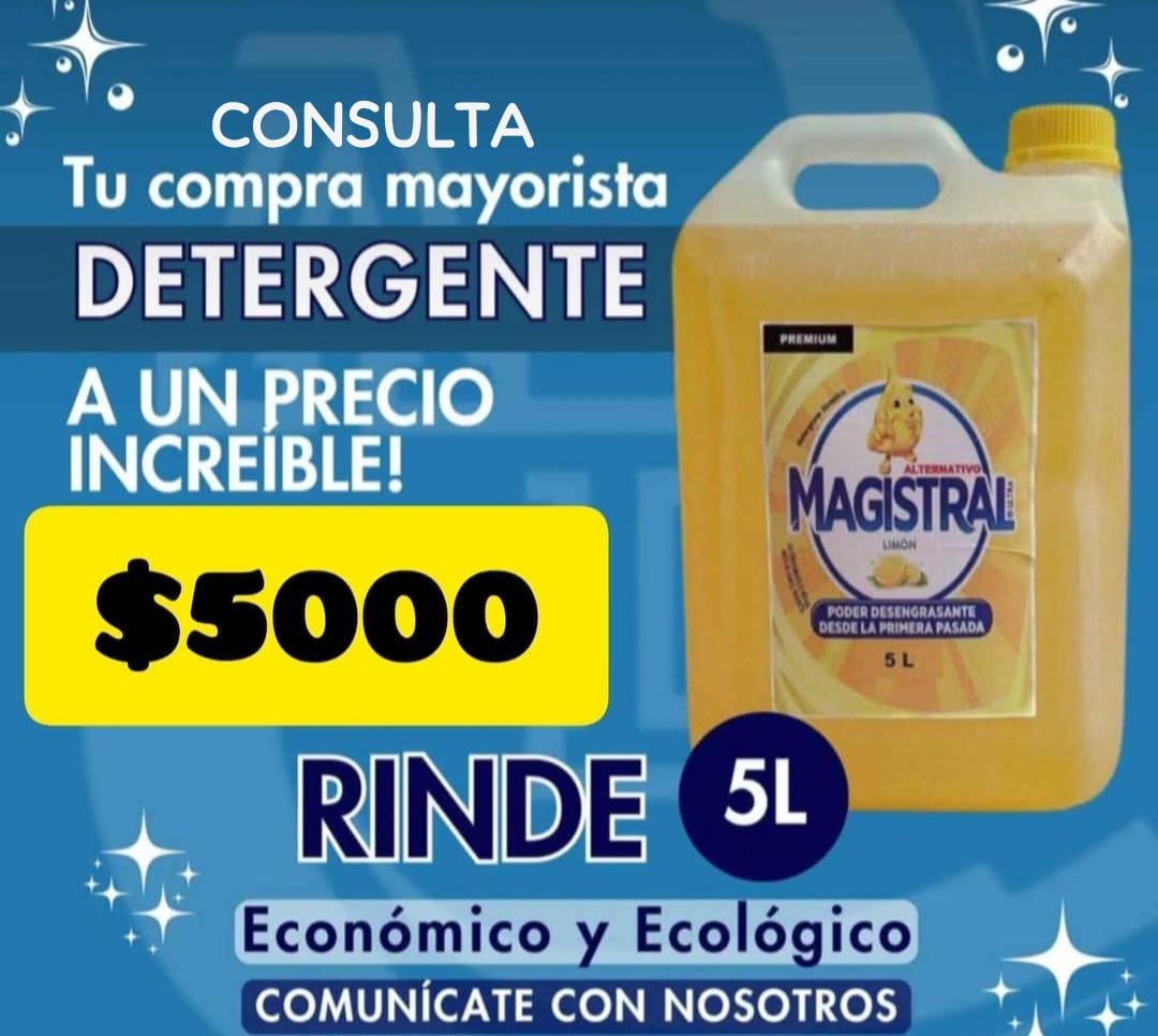 BIDON DE DETERGENTE X 5L
